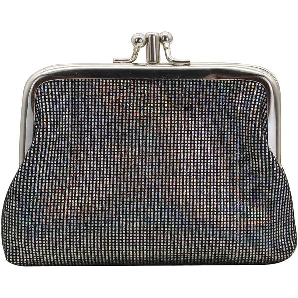 Amazon.com: SHIMAIXJYY Double Layer Coin Purse for Women Lady
